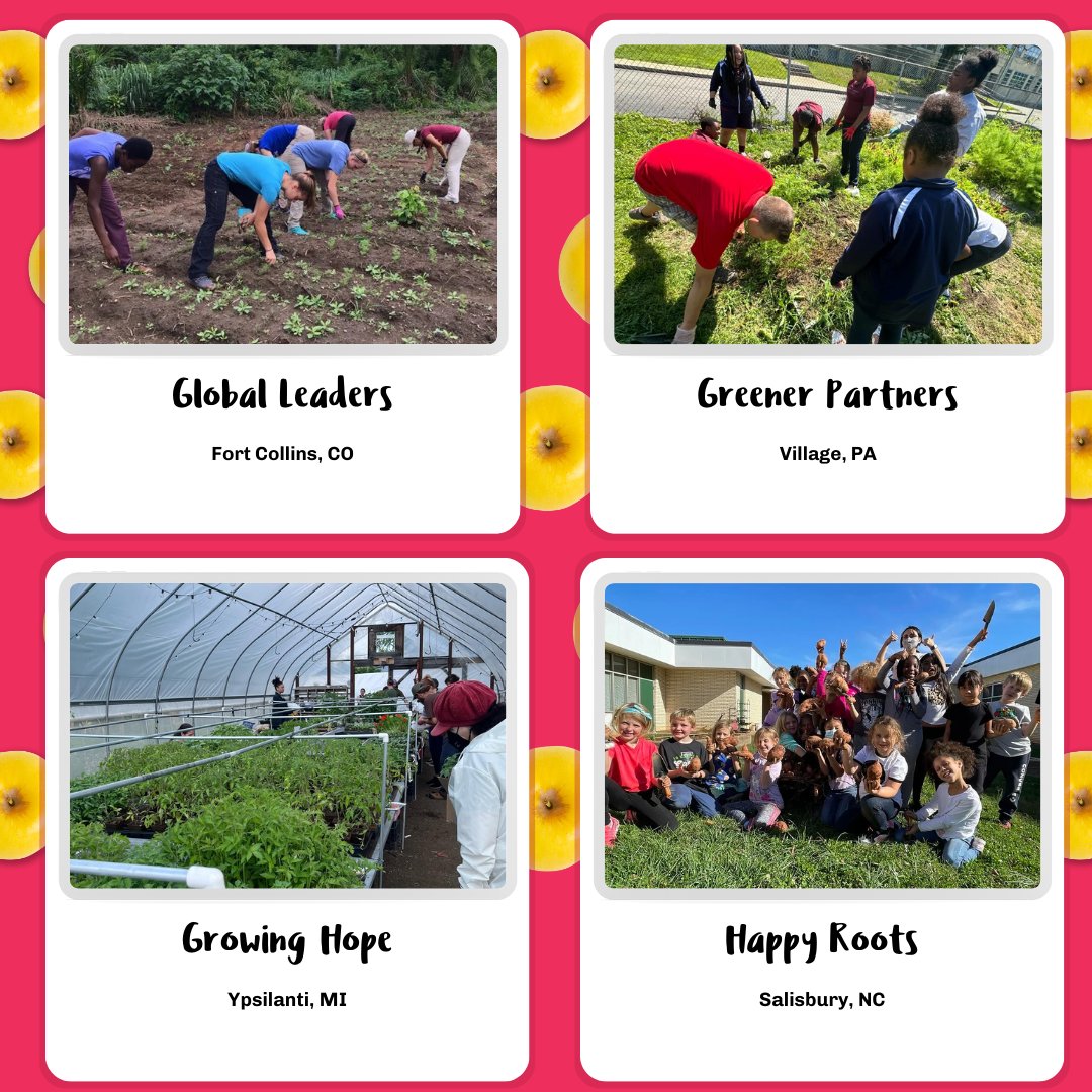 Opal Apple tweet media