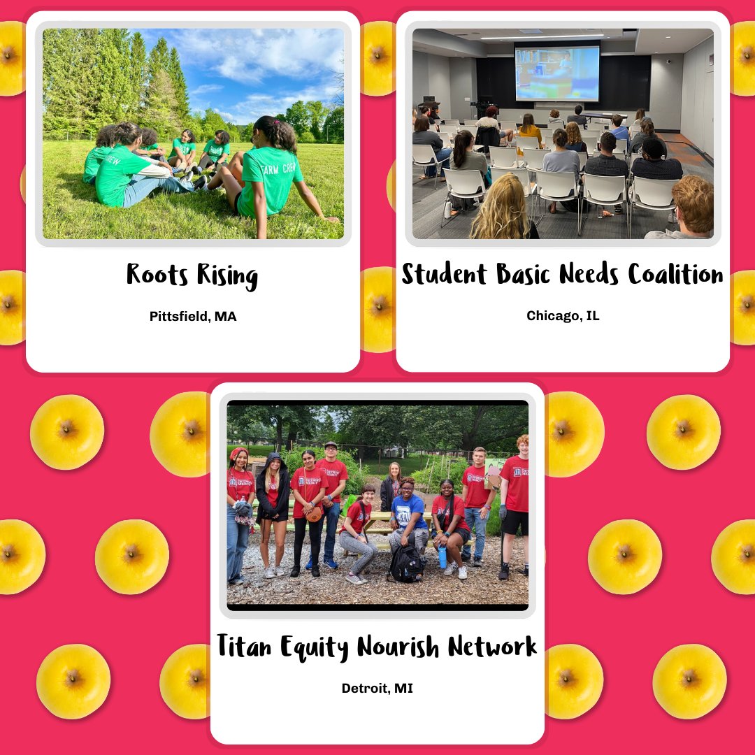 Opal Apple tweet media