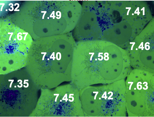 White Lab tweet media