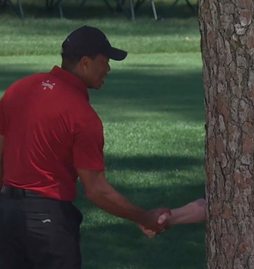 Andrew B tweet media