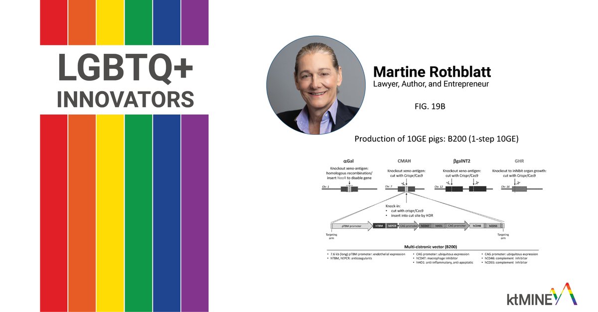 🌈We are celebrating Pride Month by highlighting inspiring LGBTQIA+ innovators. First up is Martine Rothblatt, a trailblazing trans woman and successful CEO in biotech.

Rothblatt co-founded Sirius Satellite Radio in 1990 and later founded United Therapeutics. #PrideMonth