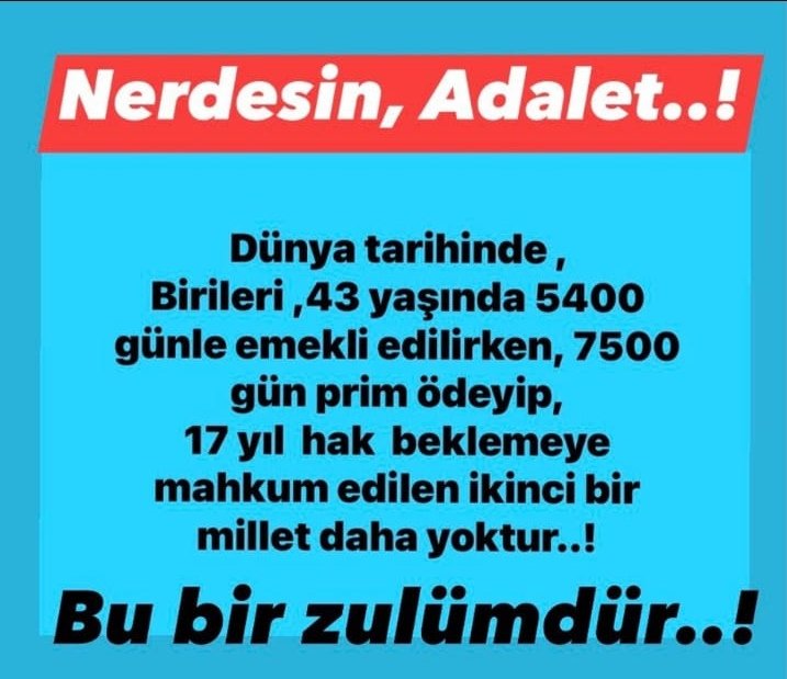 Turan Yan tweet media