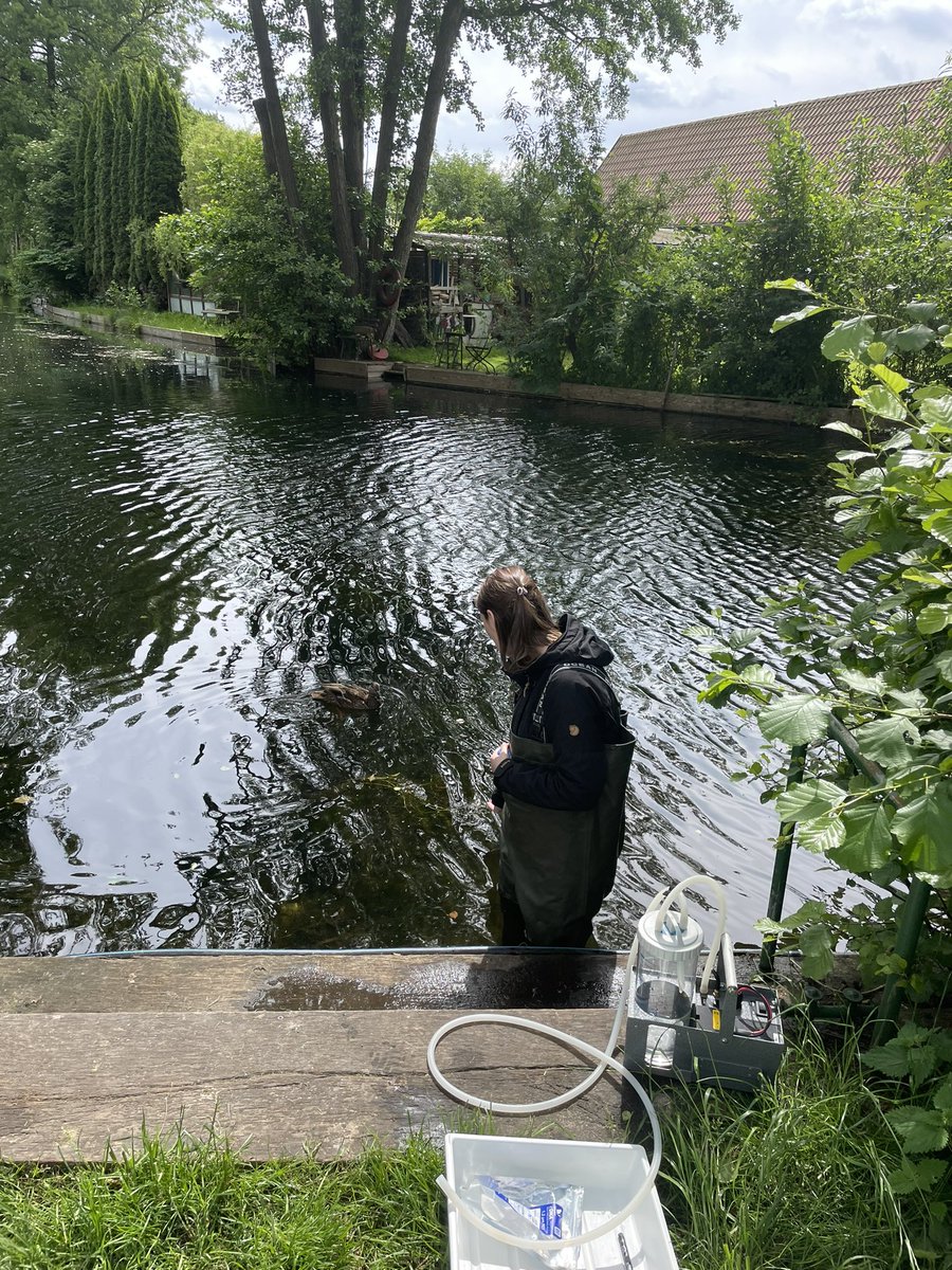 Unterwegs für die Mitmachaktion #unsereFlüsse der ARD. Wir nehmen #eDNA Proben von 30 Bächen in ganz Deutschland. Meldet euren Lieblingsbach! 🚀🧬👩‍🔬 <a href="/ARDde/">rundawn</a> <a href="/unidue/">Uni Duisburg-Essen @unidue.bsky.social</a>