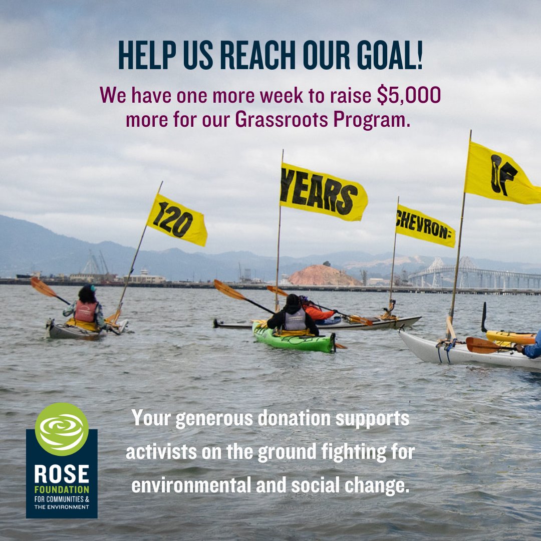 Rose Foundation tweet media