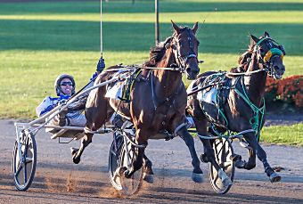 Page hopes for more ‘Missal’ magic

Chris Page fulfilled a childhood dream in 2022 when he won the Little Brown Jug with Bythemissal. They reunite on Saturday in the Battle of Lake Erie. 
bit.ly/45cVYdO

<a href="/HarnessKenW/">Ken Weingartner</a> 
<a href="/NfldPark/">Northfield Park</a> 
#harnessracing