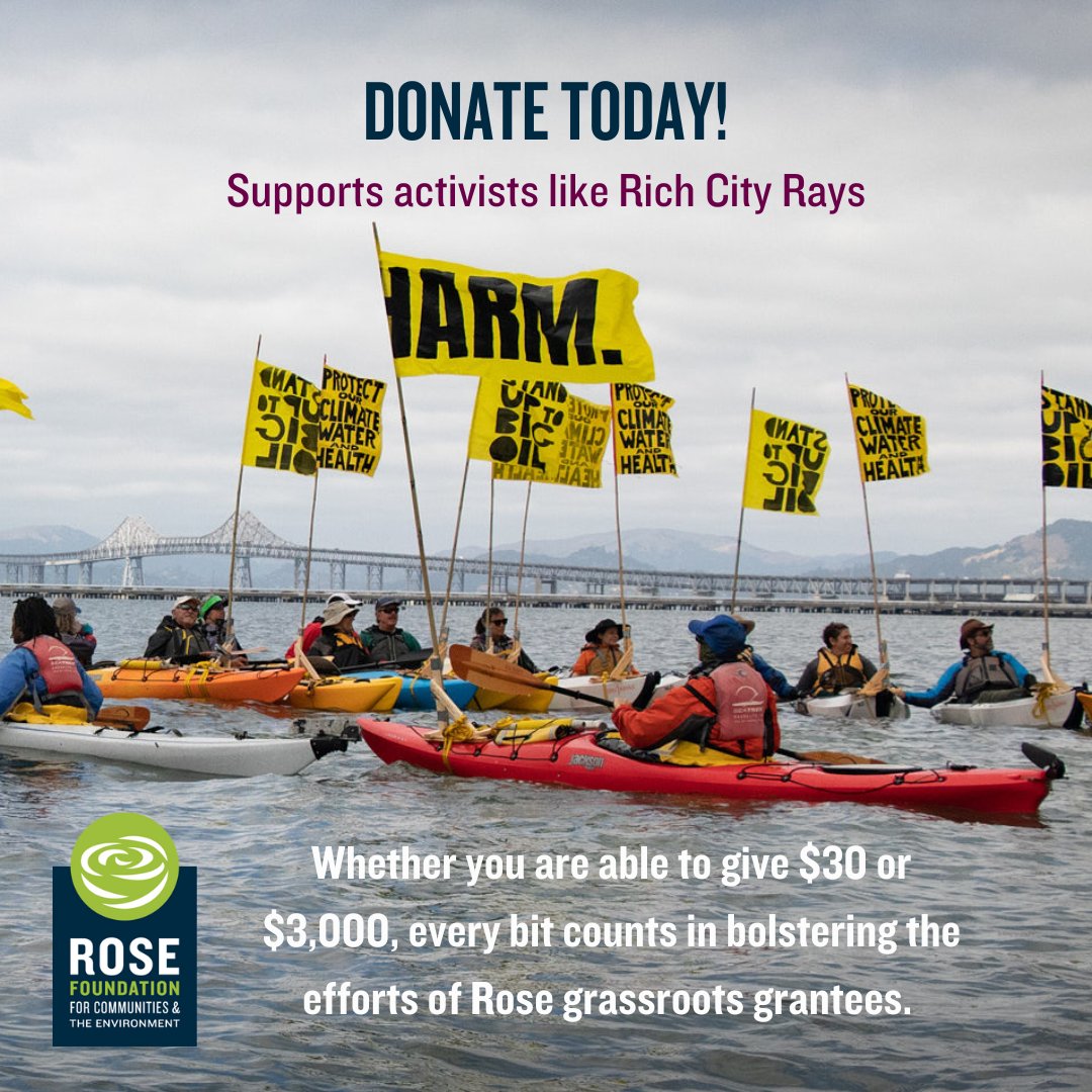 Rose Foundation tweet media