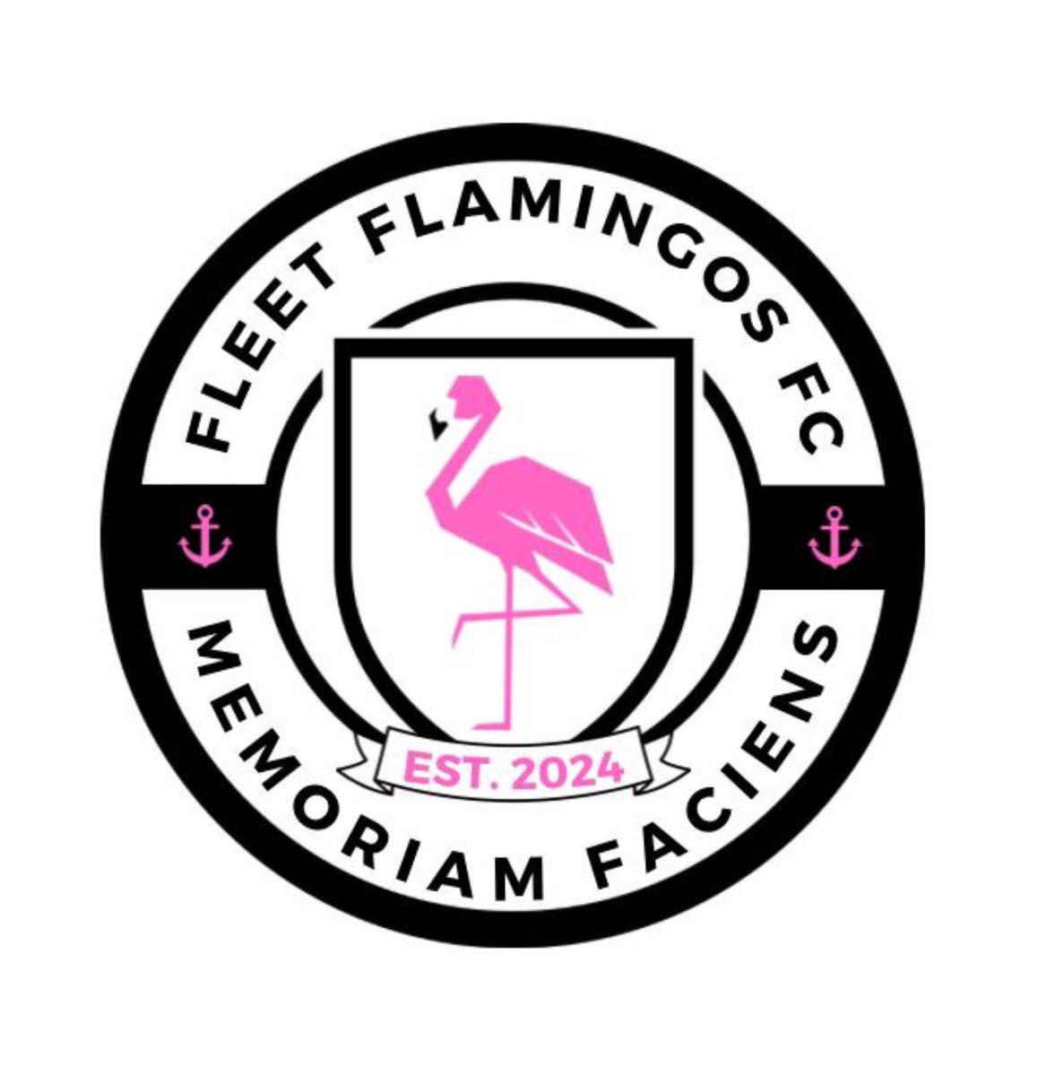 Fleet Flamingos Football Club tweet media