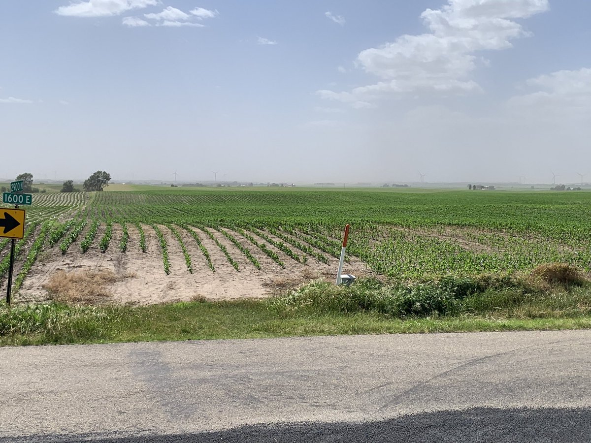 So <a href="/dmblack55/">Buckshot aka 'The Dude' aka Hayhook aka Tiny</a> if I get enough organic dust landing in my fields does that shorten the certification process?