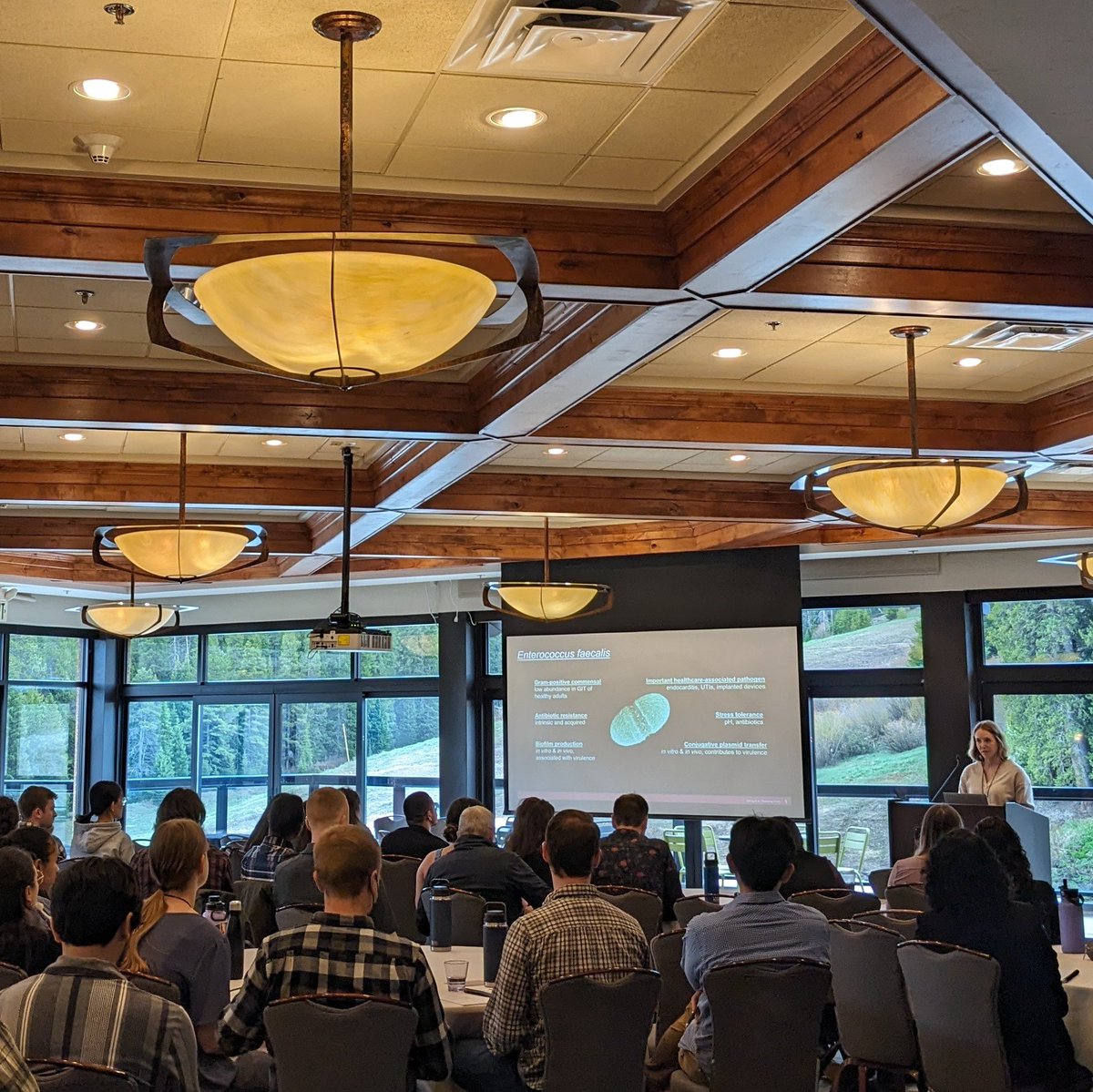 Julia Willett (@jlewillett) on Twitter photo Started & ended the week with great presentations from <a href="/HaeberleAmanda/">Amanda Haeberle</a>, Alex, Emily, & <a href="/RuthlessRuth15/">Ruth 룻 Isenberg, PhD</a> at #WindRiver2024! Thanks to the organizers for the opportunities & the focus on trainees. Super fun week of science & mountains! #proudPI Started & ended the week with great presentations from <a href="/HaeberleAmanda/">Amanda Haeberle</a>, Alex, Emily, & <a href="/RuthlessRuth15/">Ruth 룻 Isenberg, PhD</a> at #WindRiver2024! Thanks to the organizers for the opportunities & the focus on trainees. Super fun week of science & mountains! #proudPI