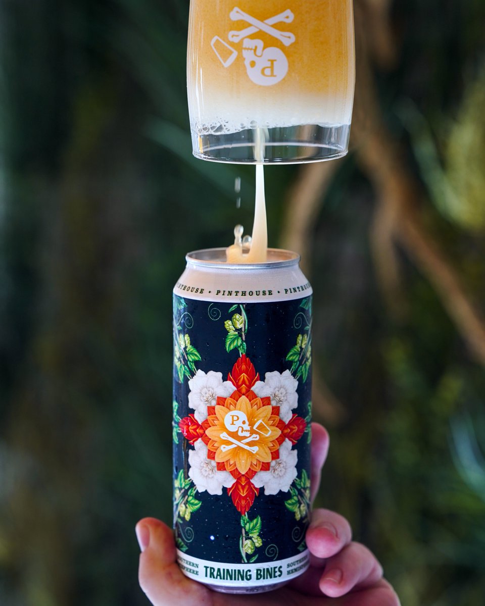 PinthouseBeer's tweet photo. 𝐒𝐨𝐮𝐭𝐡𝐞𝐫𝐧 𝐇𝐞𝐦𝐢𝐬𝐩𝐡𝐞𝐫𝐞 𝐓𝐫𝐚𝐢𝐧𝐢𝐧𝐠 𝐁𝐢𝐧𝐞𝐬 Hazy IPA (7% ABV - $22/4-pack) returns this Saturday 11AM across all Pinthouse locations, showcasing delicious NZ hops!
#pinthouse #southernhemihops #trainingbines #canrelease #hazyipa #austintx https://t.co/CQvxPVxZGh