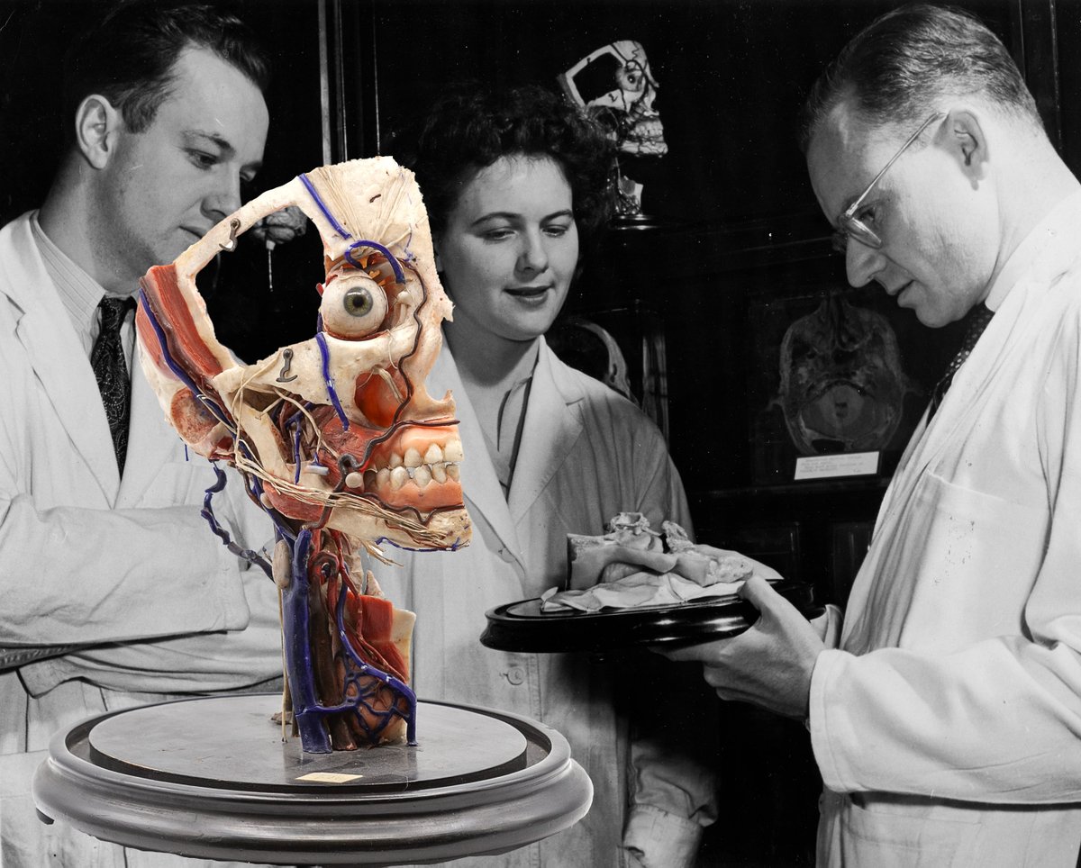 Teaching using artifacts in the 1960s. Many models are still on display at the MAMM.