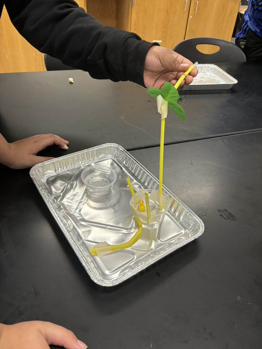MsJackson_6's tweet photo. Today at Camp Invention we created and tested prototypes of water features that were made from household materials. 💧😀 https://t.co/qnpX3y91eU