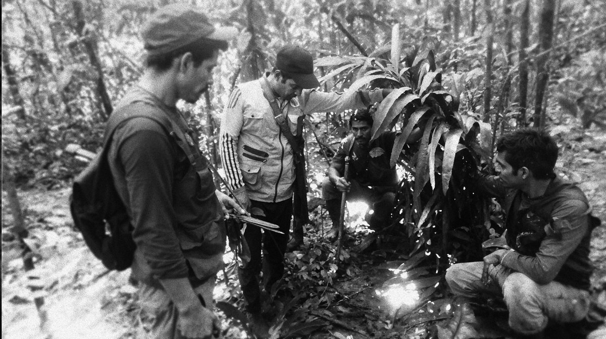 Con testimonios exclusivos y una narrativa en primera persona, #PerdidosEnElAmazonas te sumerge en los 40 días de desesperada búsqueda en uno de los lugares más inhóspitos del planeta. 🌧️🌿 ¡No te lo pierdas! 🎥  

¡No te lo pierdas! A partir de mañana en <a href="/StreamMaxLA/">HBO Max Latinoamérica</a> 🤩
