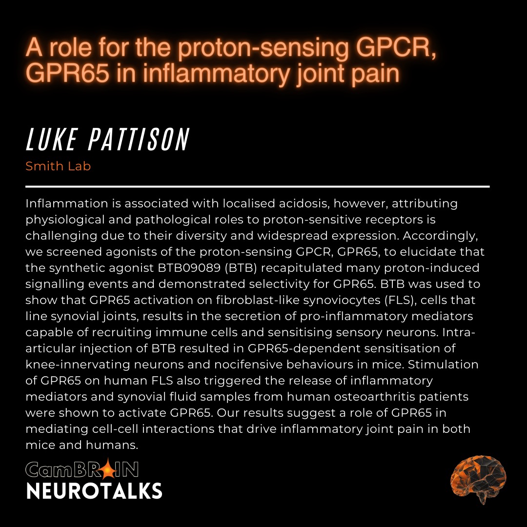 CamBrainCNS's tweet image. @interlukein from @UnivCamPharm studies pain, something we still struggle to treat effectively 🤕. How can we find new drug targets? He&apos;ll discuss one in particular, an acid-sensing receptor, and its role in joint pain 🦵