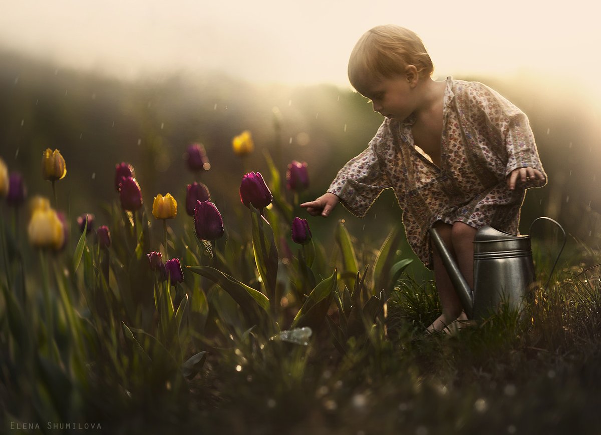 tulipes... by Elena Shumilova