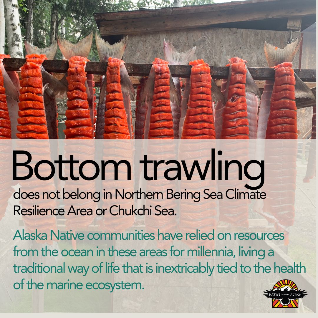 NPA has drafted a letter urging the protection of the Northern Bering Sea Climate Resilience Area and the Chukchi Sea from any use of bottom-trawl gear, including for research.

Sign our letter: buff.ly/3wGJlel 

Submit your own comment here buff.ly/4dN72SR