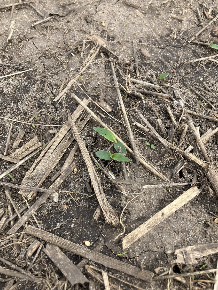 Ryan Miller tweet media