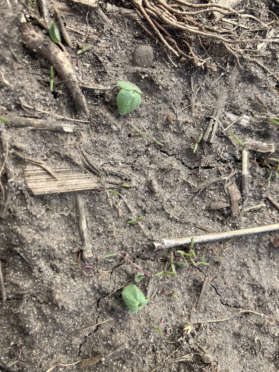 Ryan Miller tweet media