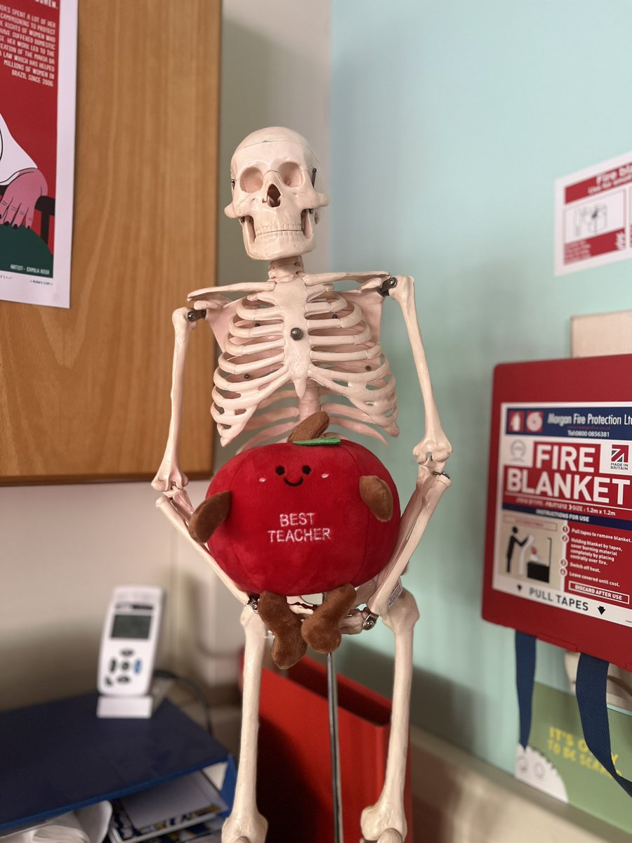 Rachel Lyall tweet media