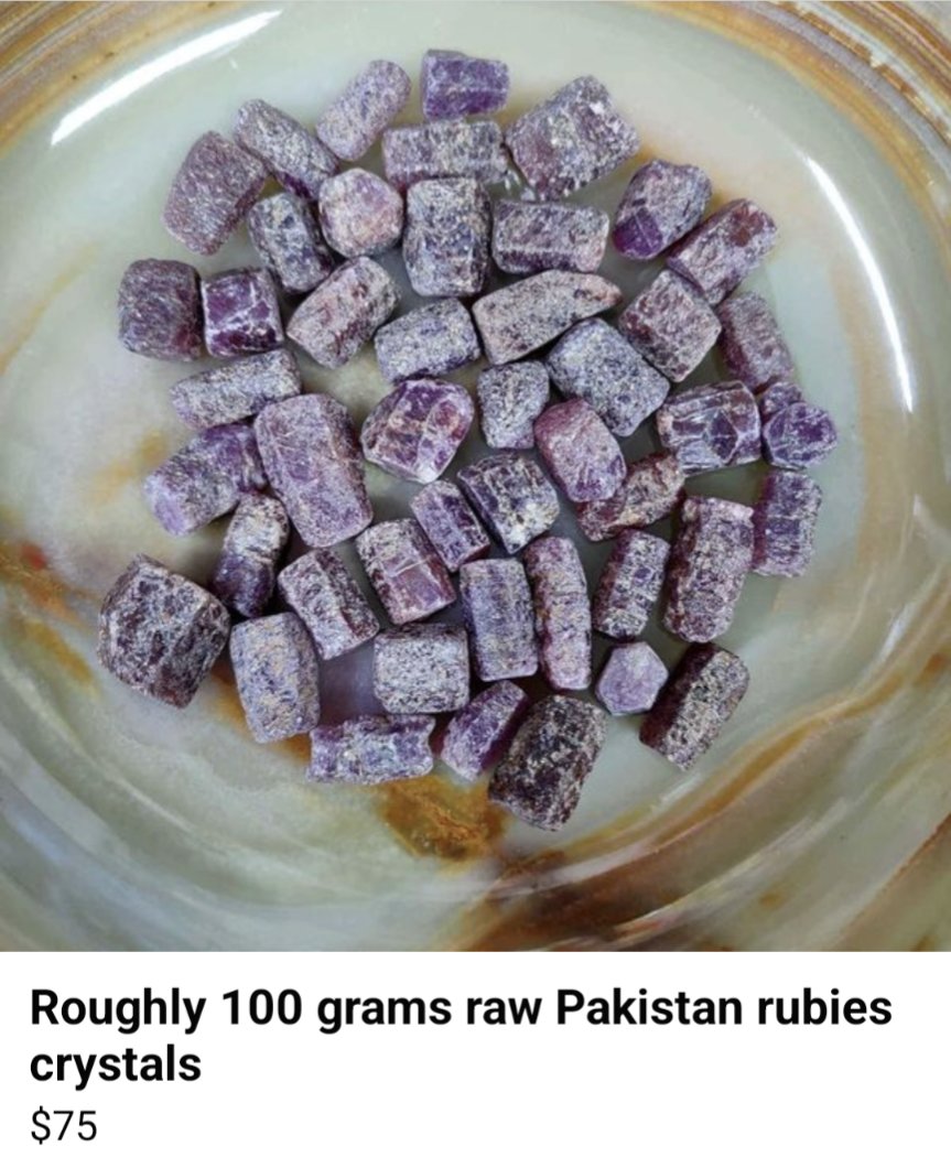 Turtle Bugg tweet media