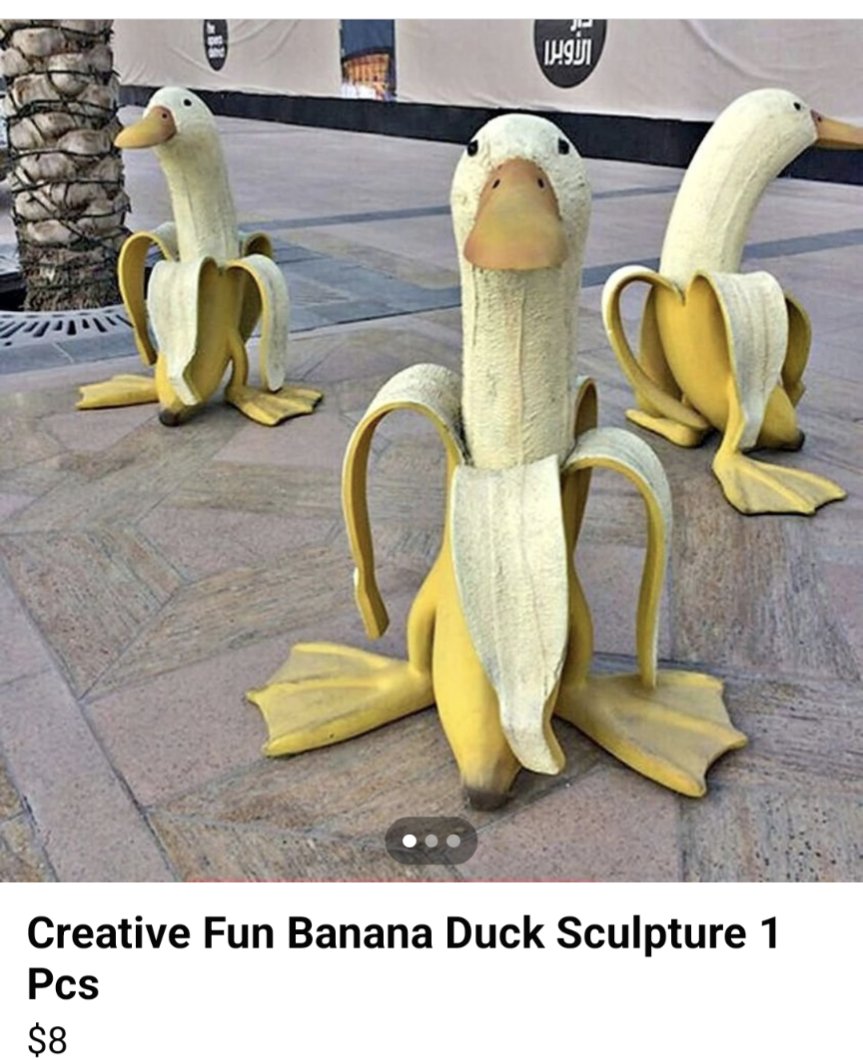 Turtle Bugg tweet media