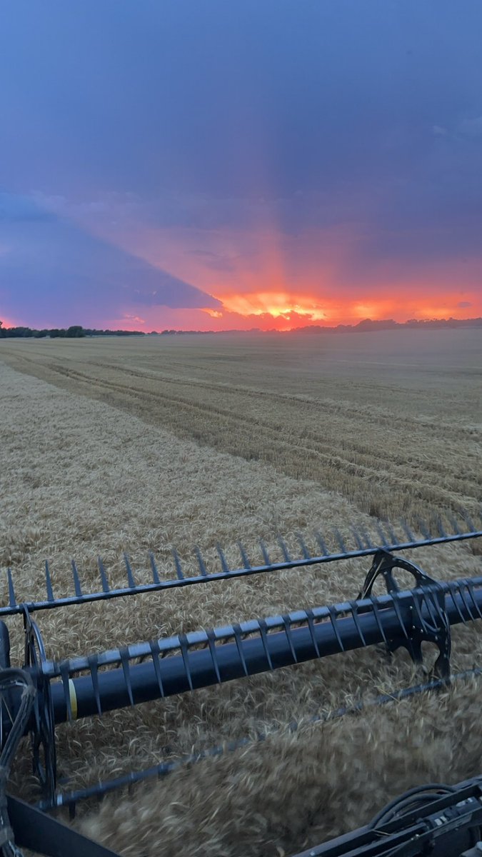 Oklahoma wheat field sunset. #wheat #farmlife #farmer #ag #sunset