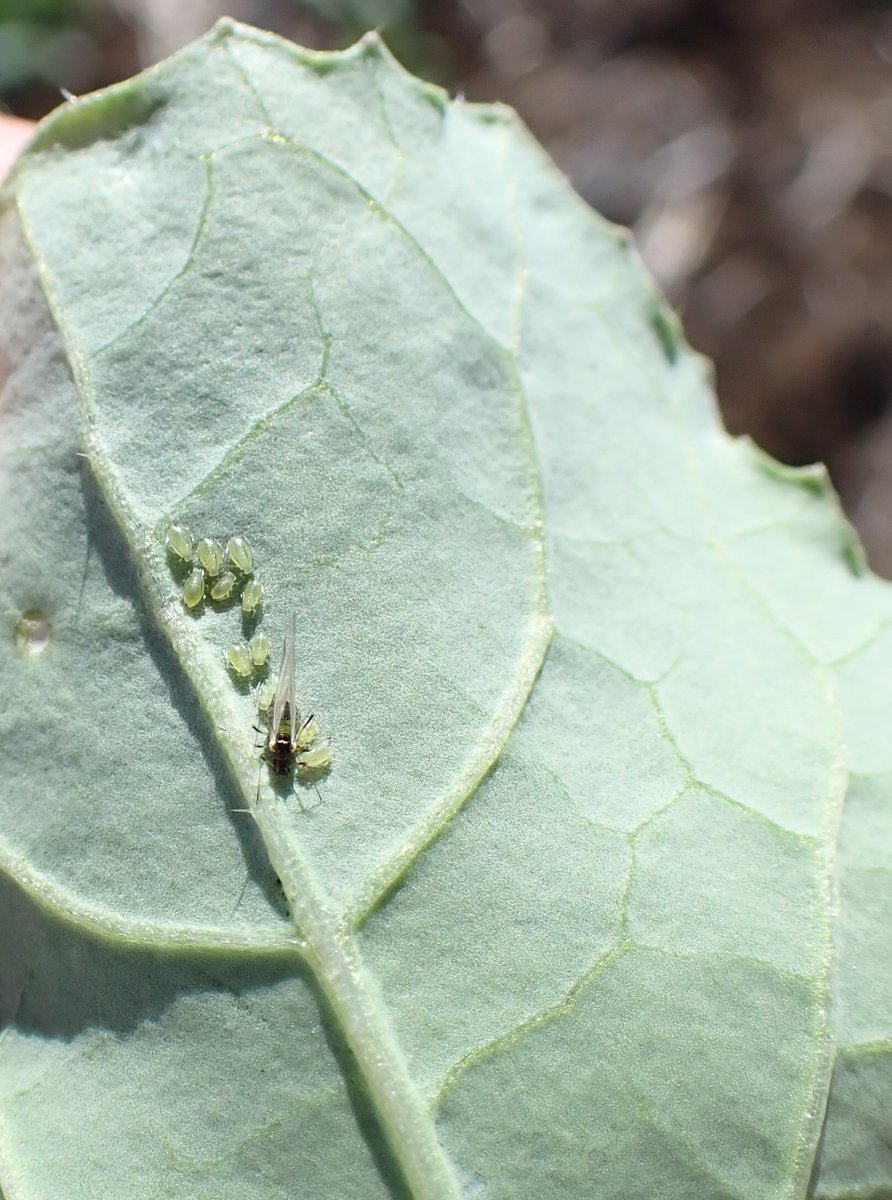 Zorica Duric tweet media