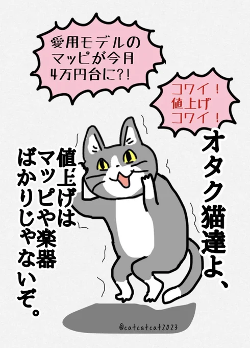ただ猫に怯えるポーズさせたかっただけです。しかし気軽に買って試すことが難しい金額になりました。 