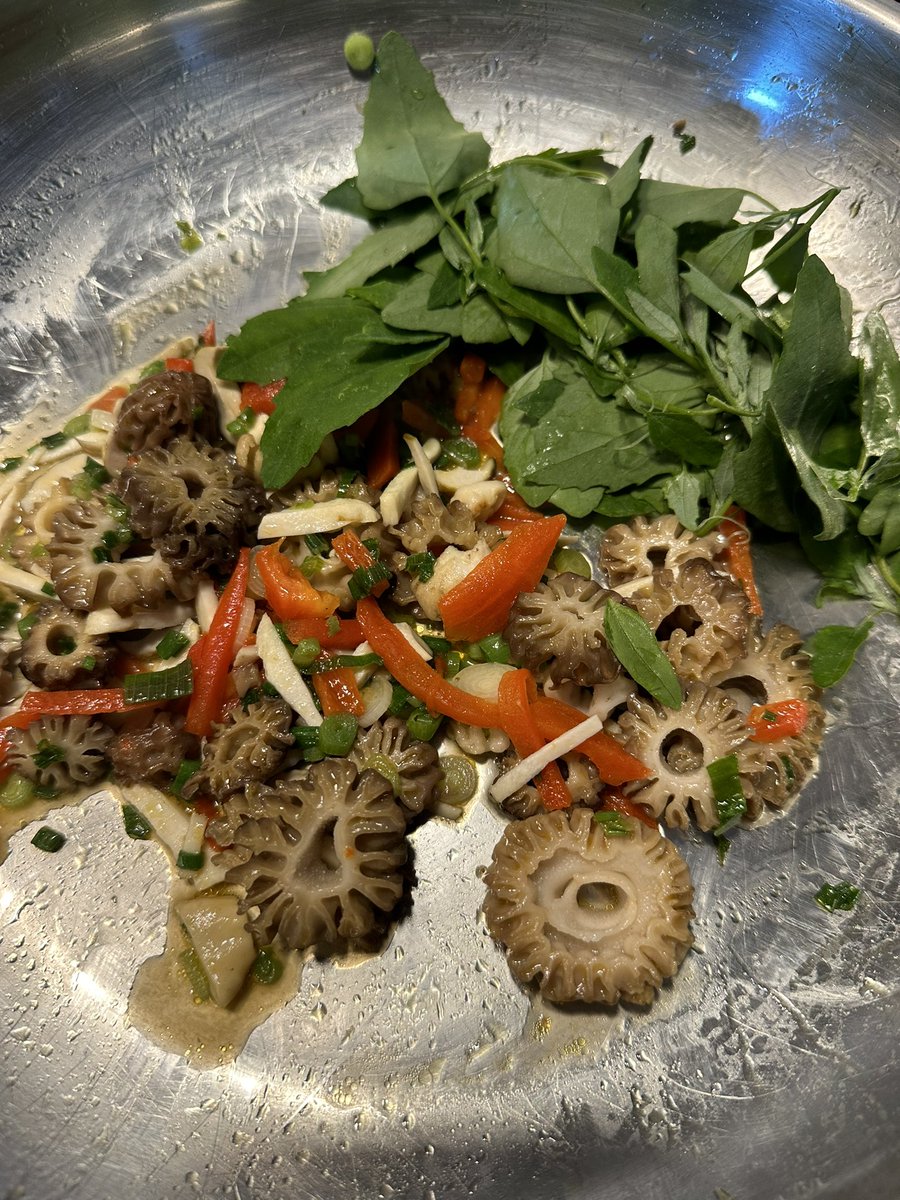 Going in a quiche. French grey shallot picked like a green onion, red bell pepper, morels and one little porcini, Boletus Rex-veris.