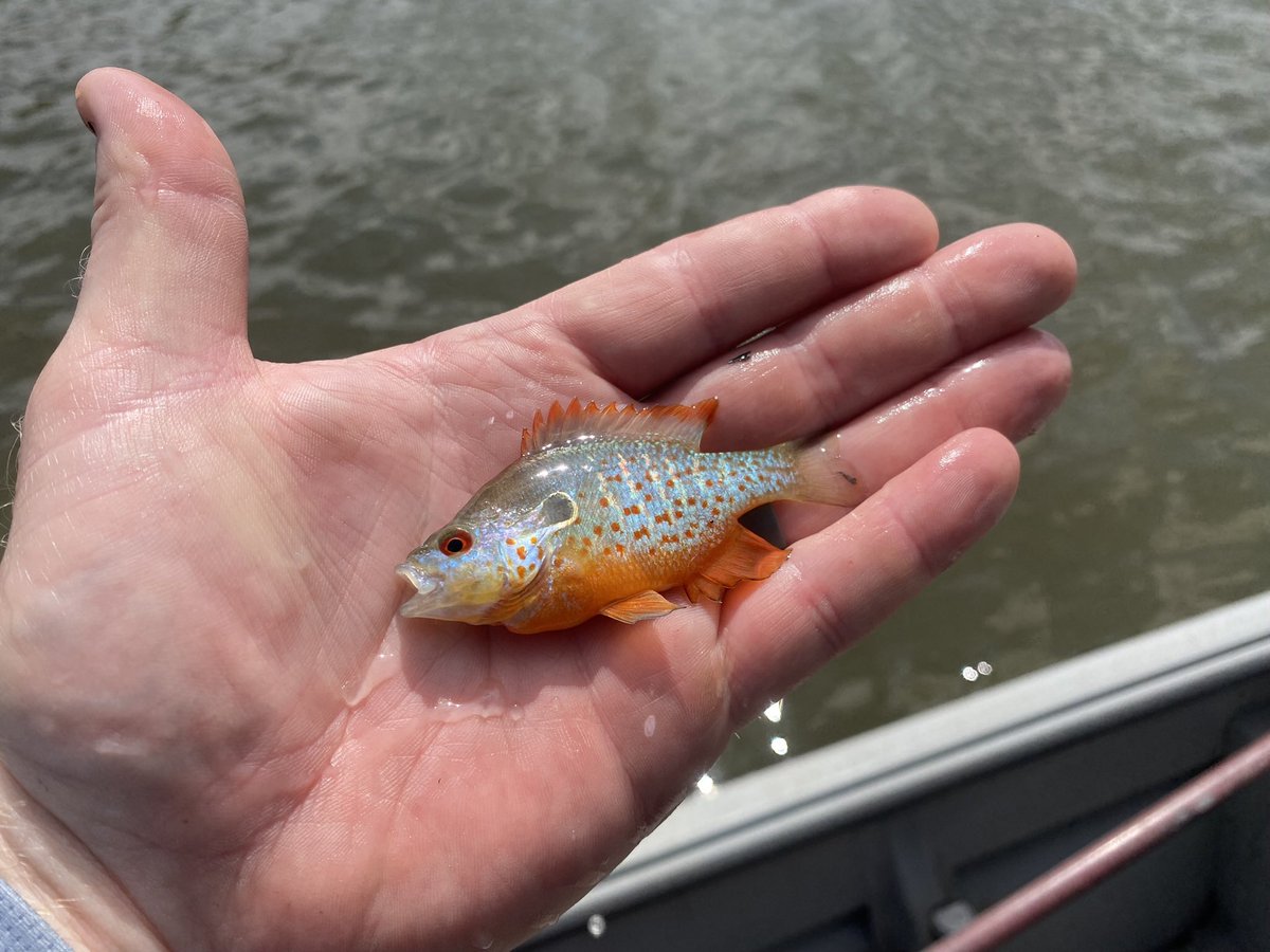 JD Schooley tweet media