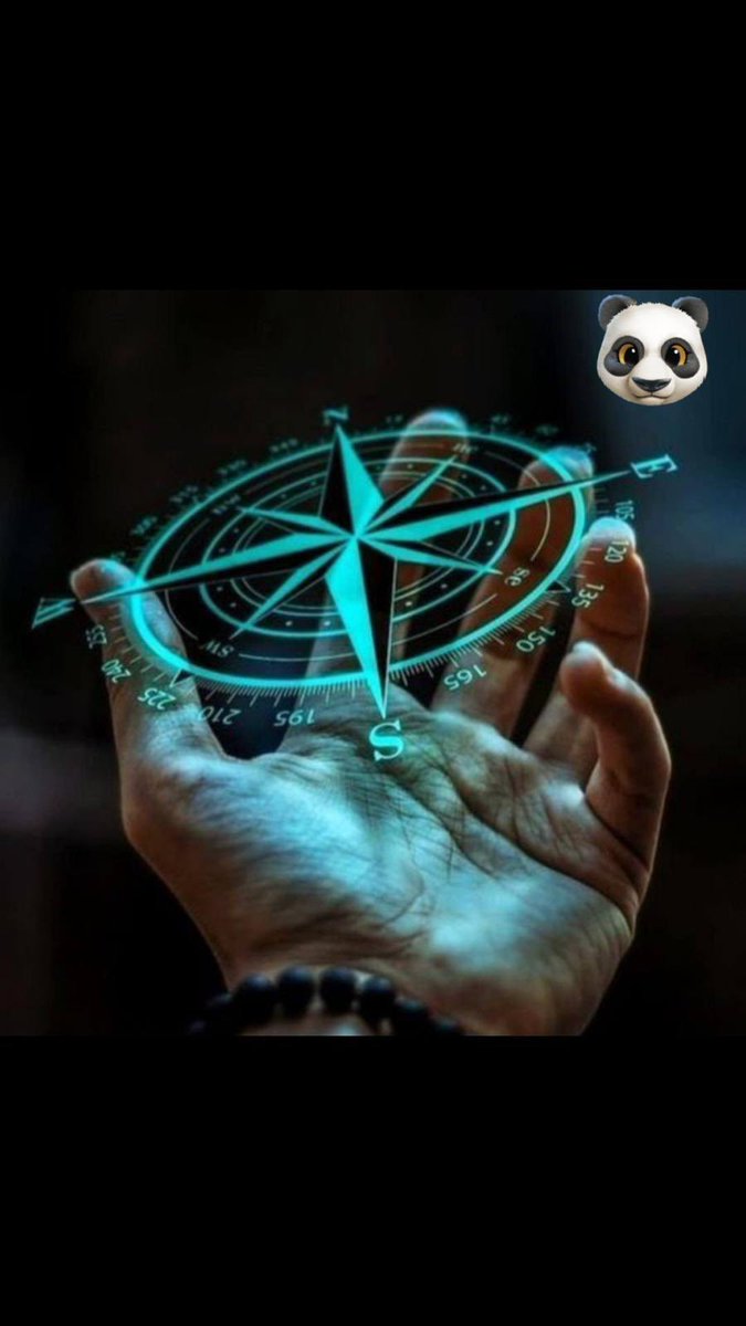 PandaSecondProjectII tweet media