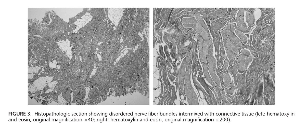 Dermpath-L tweet media