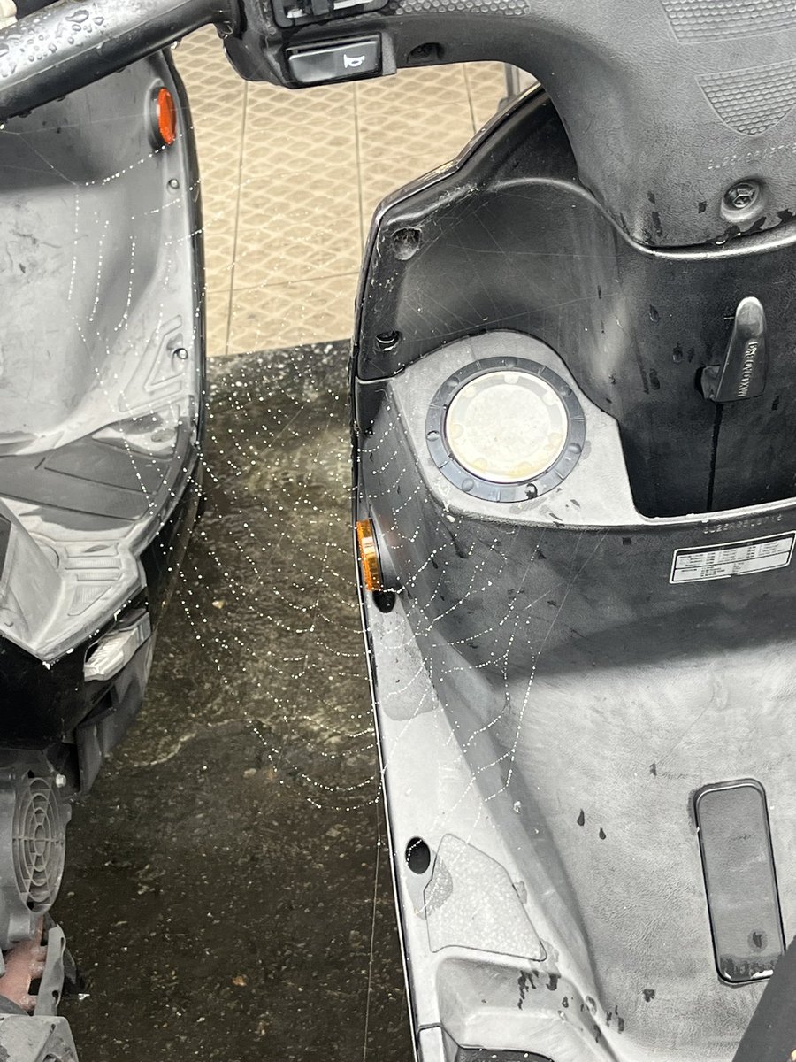 自然界的工程大師