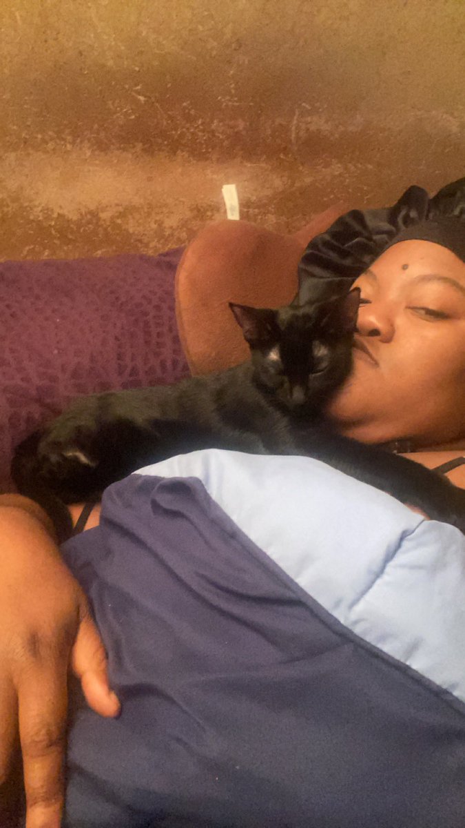 PockettOutof's tweet photo. One thing for sure ...Two things for certain...Luna is going to use my cheeks as a pillow to sleep on https://t.co/BLeuOVCwxR