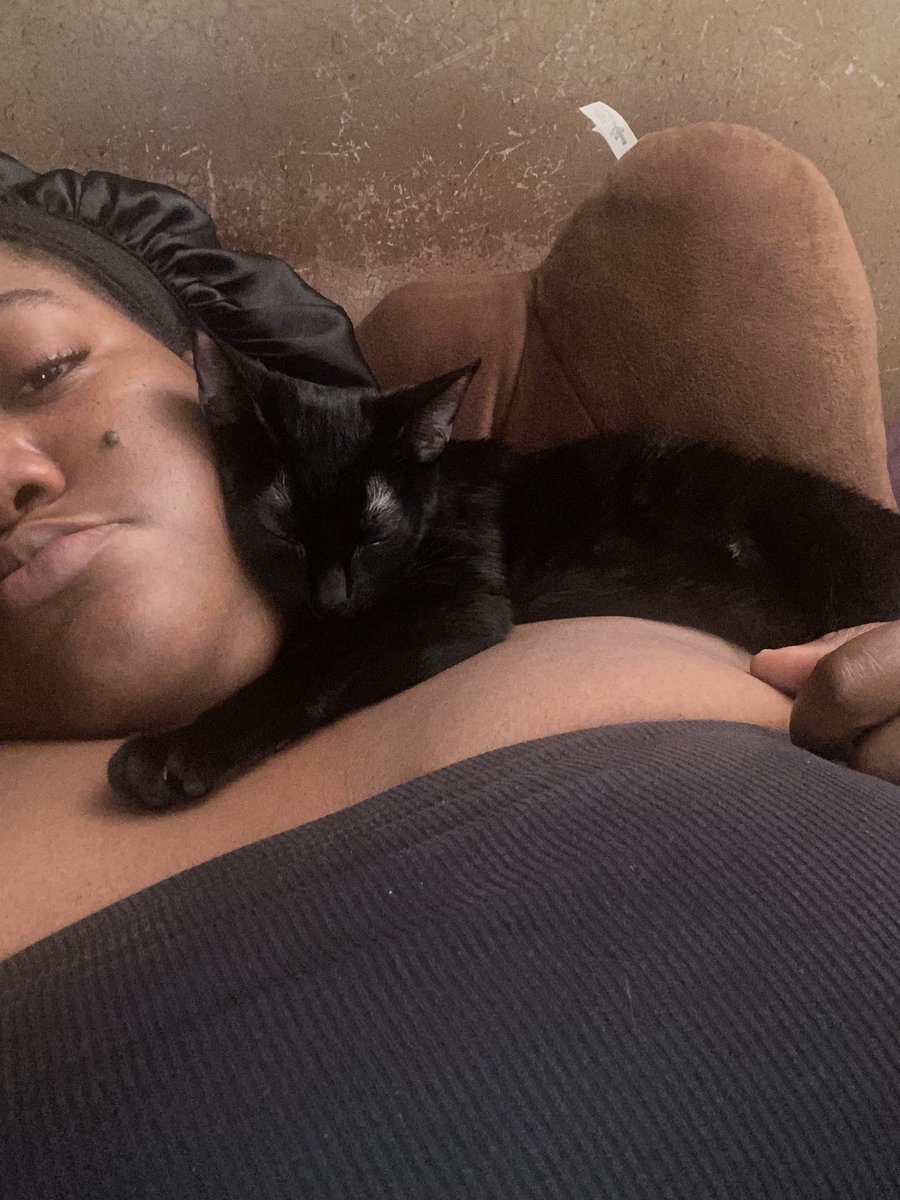 PockettOutof's tweet photo. One thing for sure ...Two things for certain...Luna is going to use my cheeks as a pillow to sleep on https://t.co/BLeuOVCwxR