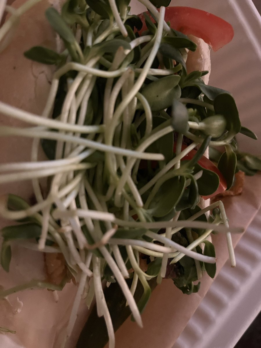 Jeff Sherman tweet media