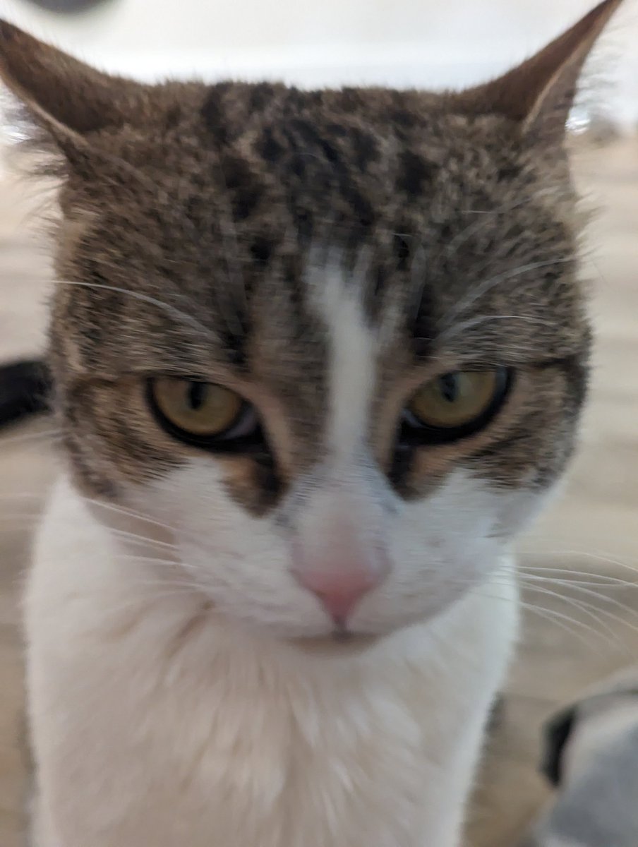 estwatch's tweet photo. only a little bit evil https://t.co/dFE9ya8oRI