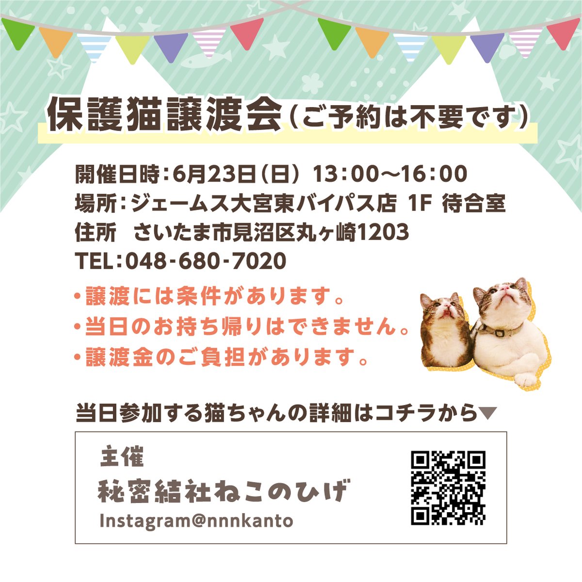 ／
フォロー＆リポストで抽選で12名様に
#ねこのせんぷうき #すずまる が当たる🐱
＼

さらに、6月23日にジェームス大宮東バイパス店で開催する「保護猫譲渡会」で写真を撮って #ジェームス保護猫 をつけて投稿すると、猫グッズ4点セットが当たるキャンペーンも🎁🐾

🔻詳しくは画像をご確認ください