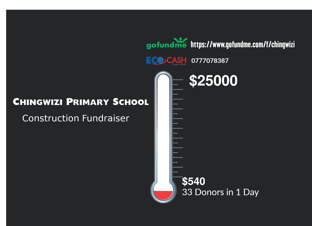 We have so far raised $540 from 33 donors. Thank you for heeding the call. Let's do something POSITIVE for others! The first $1000 is the toughest, our goal is to get there today. Please donate, retweet and tell someone.
gofundme.com/f/chingwizi