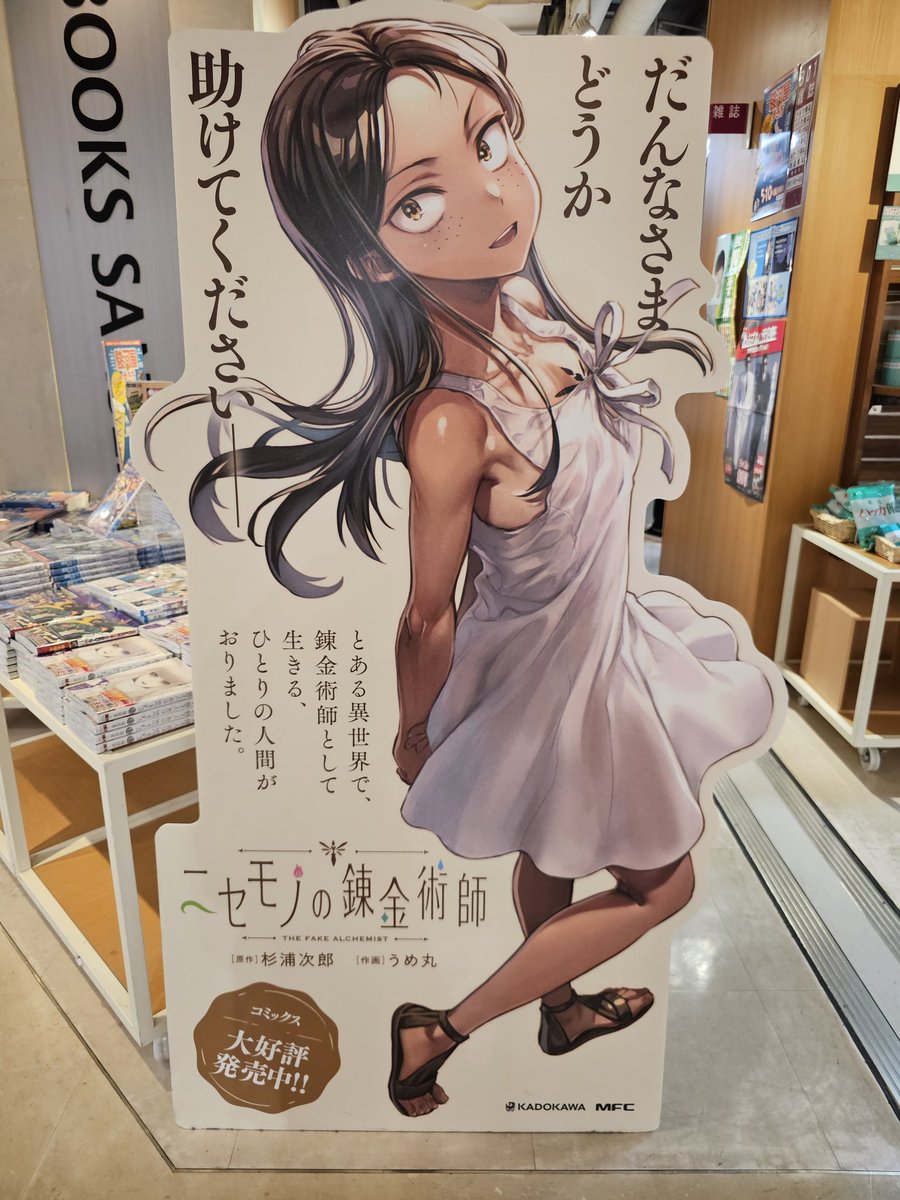 ニセモノの錬金術師のノラさん、良いよね……
(でも僕はココさん派) 