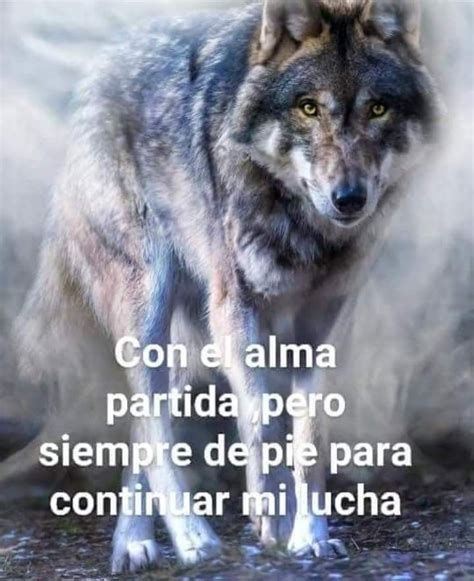 yiyis (@ddollyhrtz) on Twitter photo 