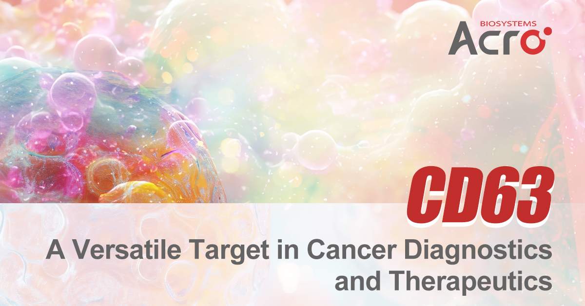 CD63, a tetraspanin protein, whose role in exosomes biogenesis makes it a promising biomarker for cancers. ACROBiosystems offers full-length CD63 proteins (Ala 2-Met 238) via "FLAG", to support research and drugs.
More information: acrobiosystems.com.cn/A2512-CD63%3A-…
