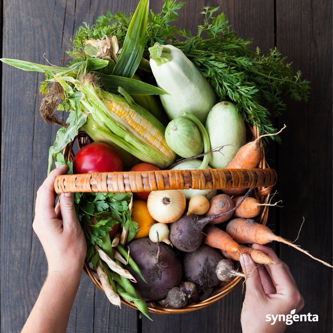 #WorldFoodSafetyDay We help ensure food safety early in the process, beginning on the farms where food is produced. Pests and diseases can be a threat to food safety. We are providing leading crop protection solutions to ensure that these threats are effectively managed.