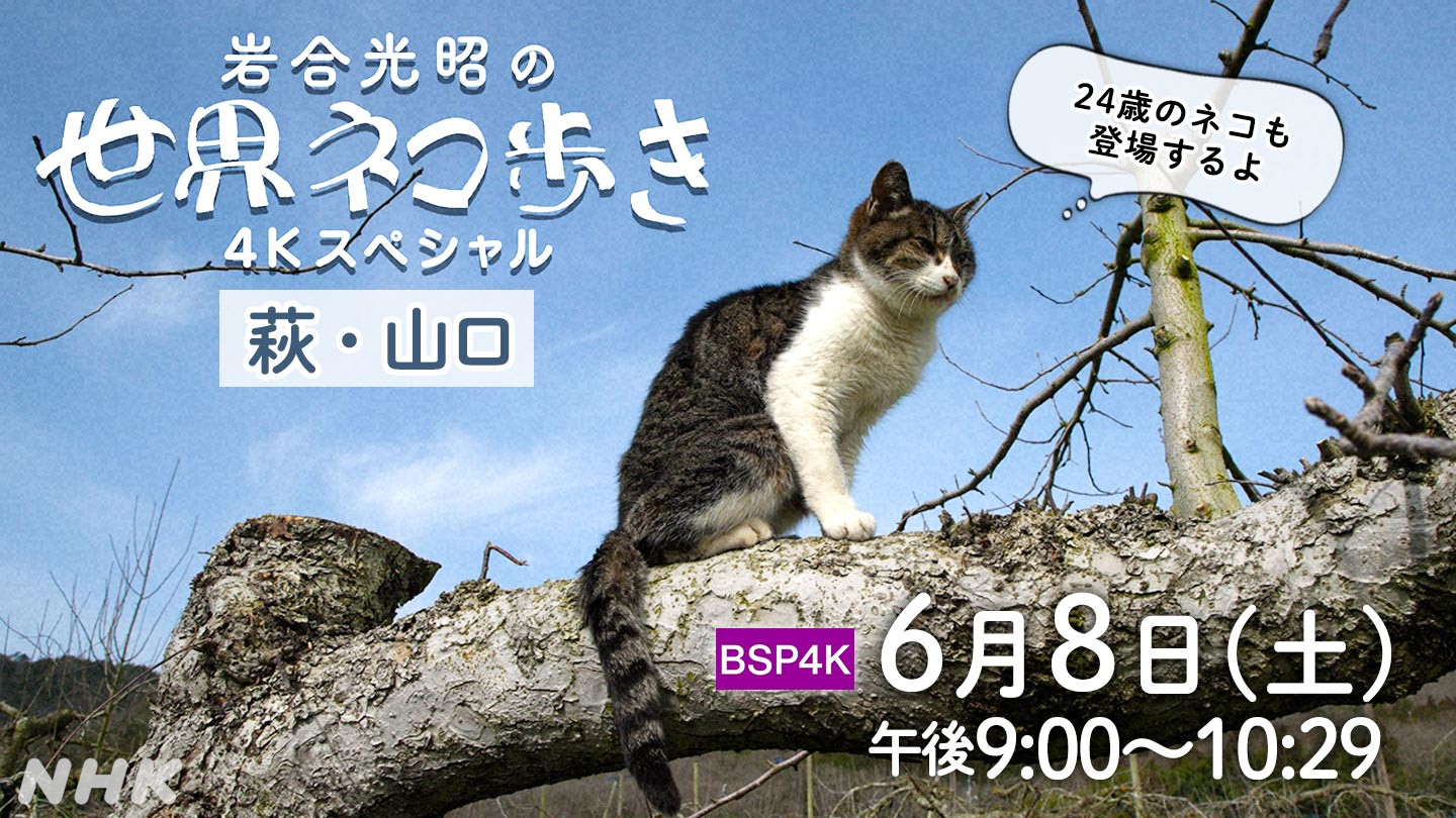 NHK山口放送局 on X: NHK山口放送局 on X:
