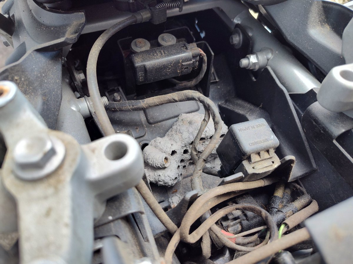 Saint Joor, Holy Avenger tweet media