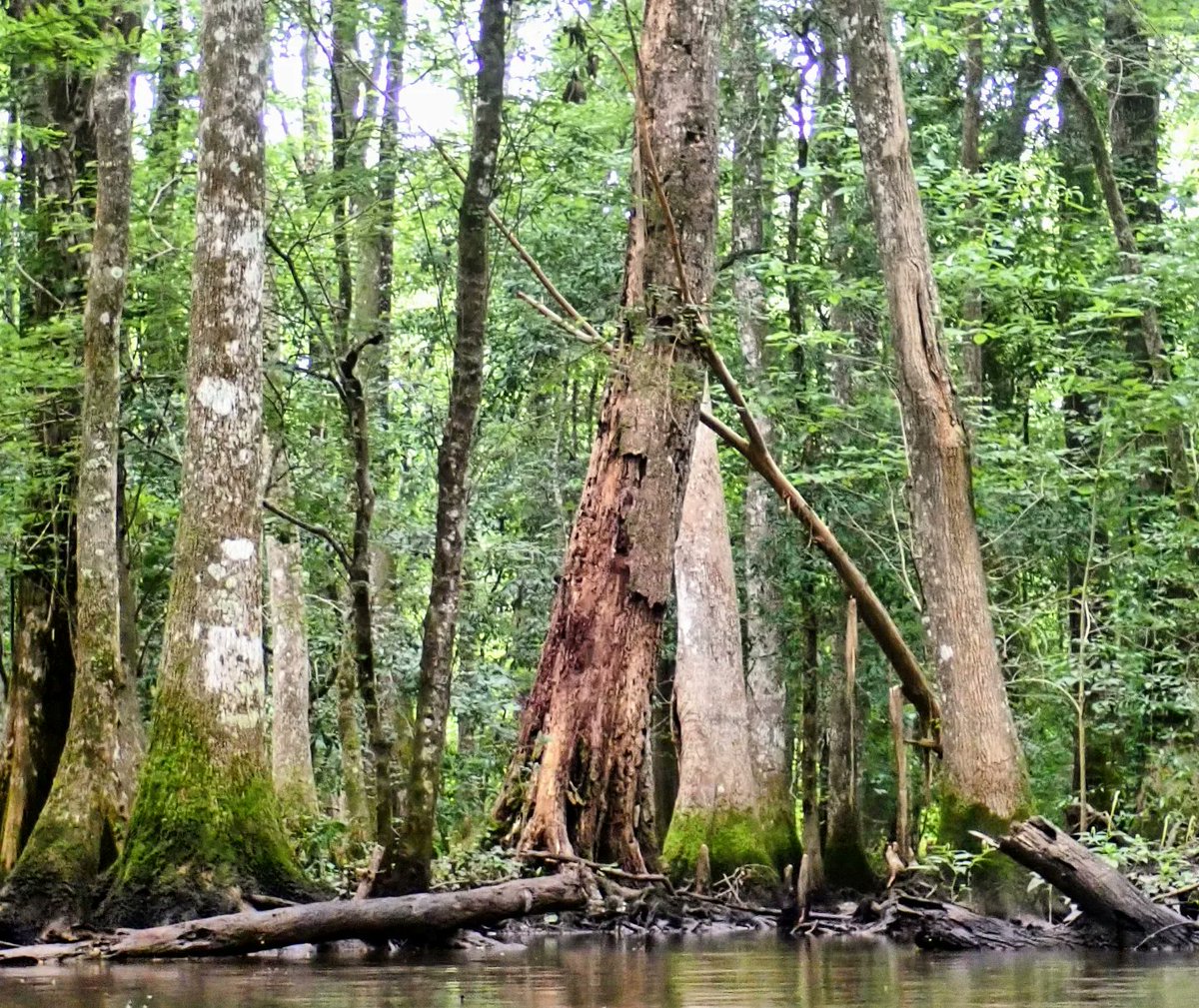Bankclimber's tweet photo. Our world #riverlove #musselhugger https://t.co/Syo0pIMiYz