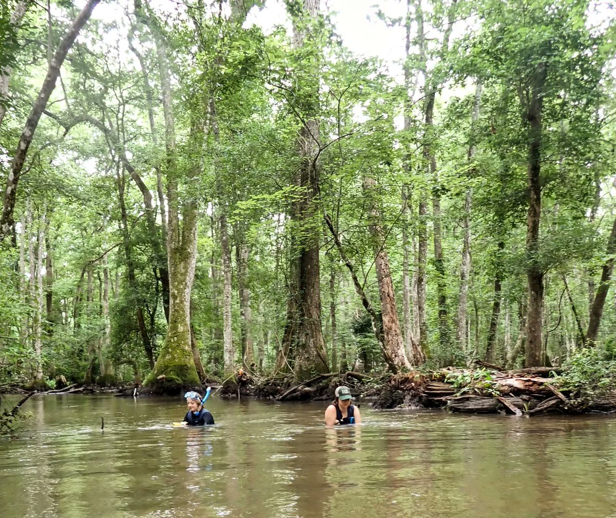Bankclimber's tweet photo. Our world #riverlove #musselhugger https://t.co/Syo0pIMiYz