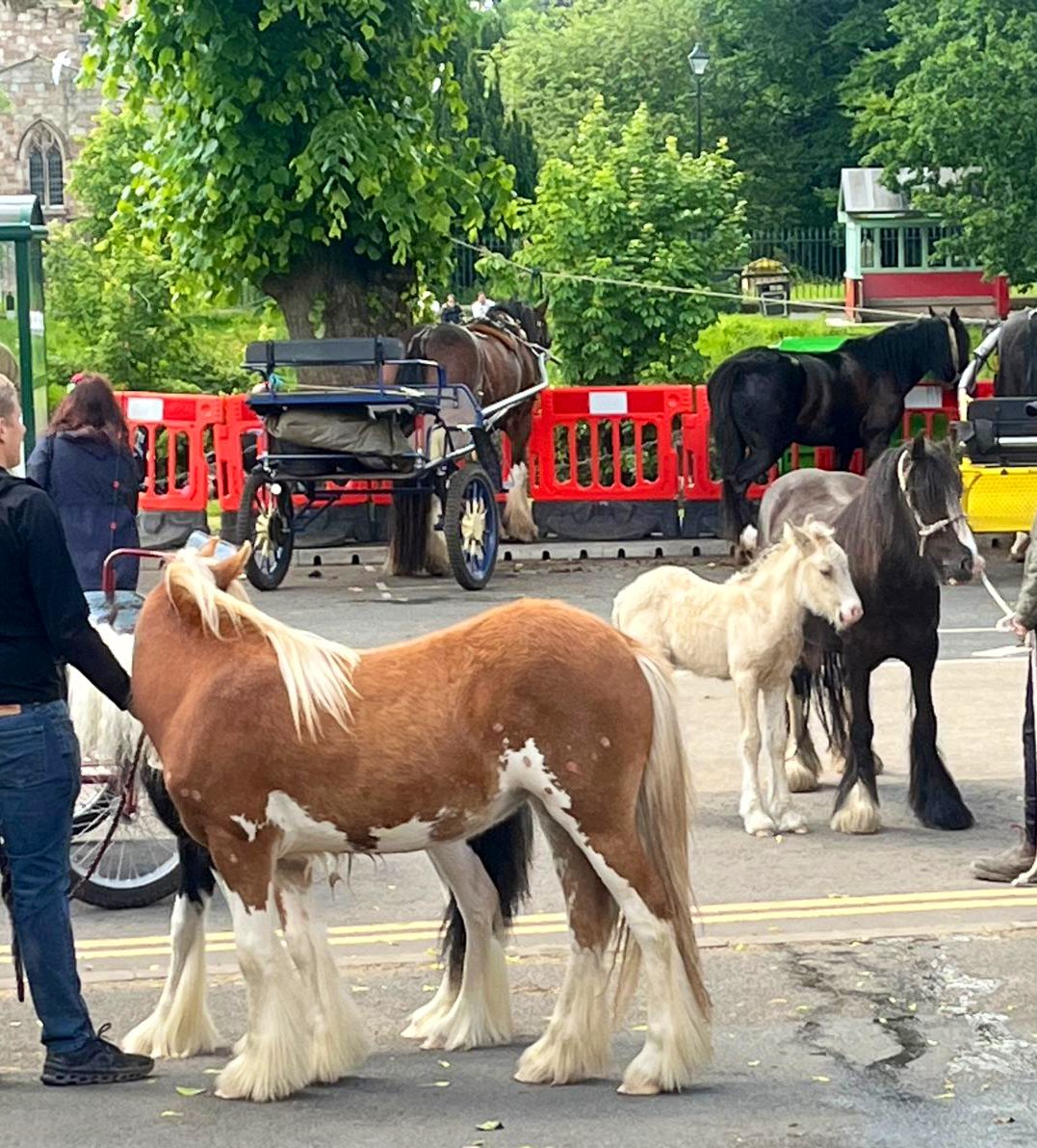 JackmanMatty's tweet photo. Having attended the Multi-Agency Strategic Coordinating Group (#MASCG) Pre-Fair Public Meeting and now the first day of the fair, I want to extend a massive thank you to everyone involved in keeping the event safe for people, animals, and road users 👍

There is a significant police presence today, and the atmosphere is great 💪

I have been discussing concerns with locals, especially regarding school runs, traffic, walkways, and road management in the lead-up to the fair, and I will continue to feed those concerns back to the relevant organisations ↗️

The fair can only continue to improve for locals if there is a constant feedback loop aimed at enhancing the fair management. To that end, I have also being speaking today to those leading the safety efforts on the ground—from the #Police, #NWAS, the #RSPCA, and more—and I am pleased to hear  that there is a positive atmosphere and things are going well 👍

I am here to listen to any further concerns residents may have. Once again, thank you to everyone running the show 🙌

My amazing team and I also delivered leaflets to residents and knocked on doors, receiving a very positive response. People are keen to see their views represented by a #Conservative 🗳️

🔵🔵🔵

#ClearPlan #BoldAction #SecureFuture #LocalandFighting4You #Matty4WestmorlandandLonsdale #Conservatives #Matty4WandL #LakeDistrict #Cumbria #Westmorland #Lonsdale https://t.co/Lqu5K9kFez