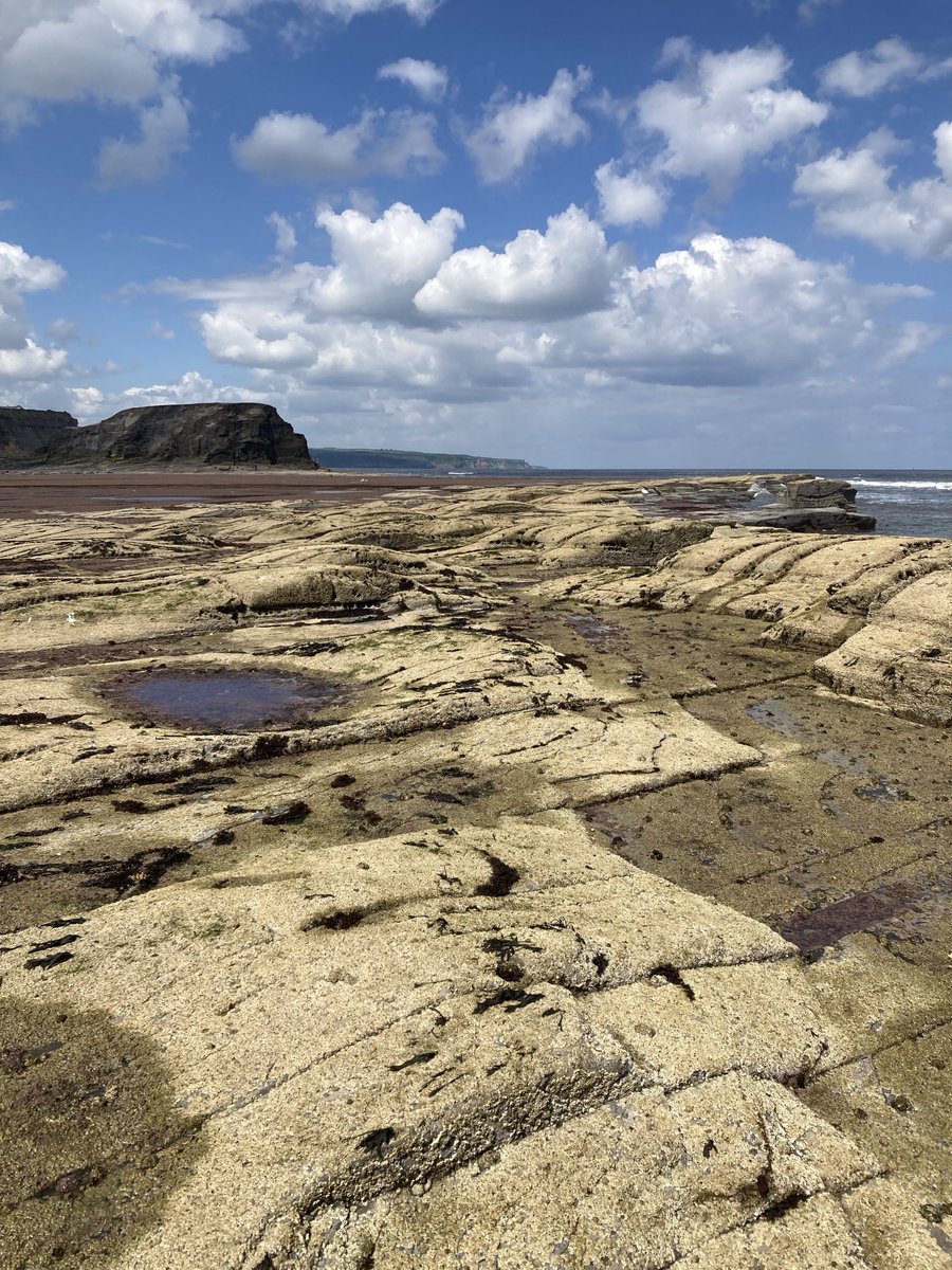 Prof Steve Carver tweet media