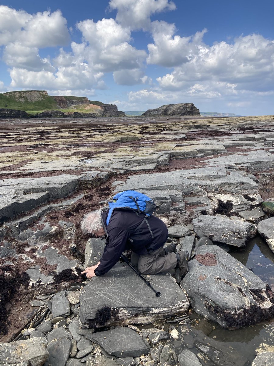 Prof Steve Carver tweet media